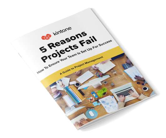 5 Reasons Projects Fail